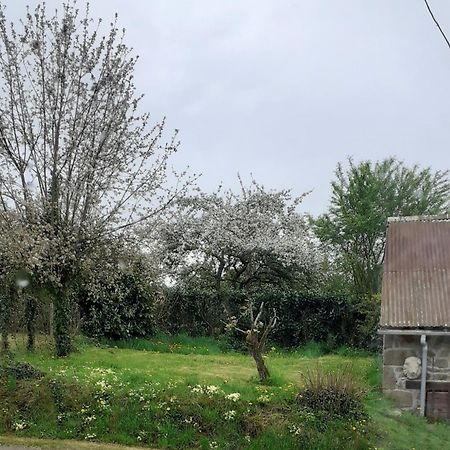 Wildberry Cottage Orgères-la-Roche エクステリア 写真
