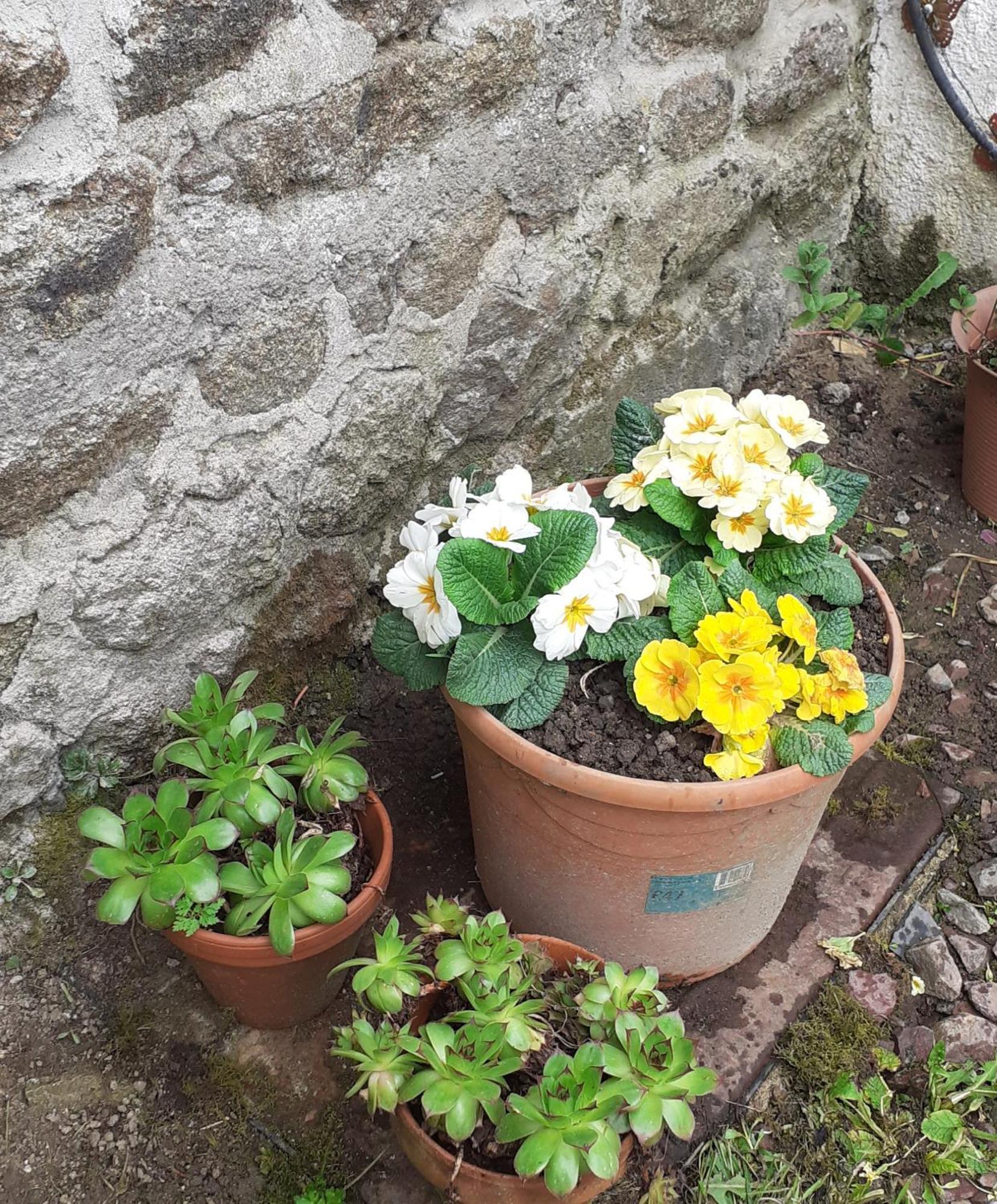 Wildberry Cottage Orgères-la-Roche エクステリア 写真